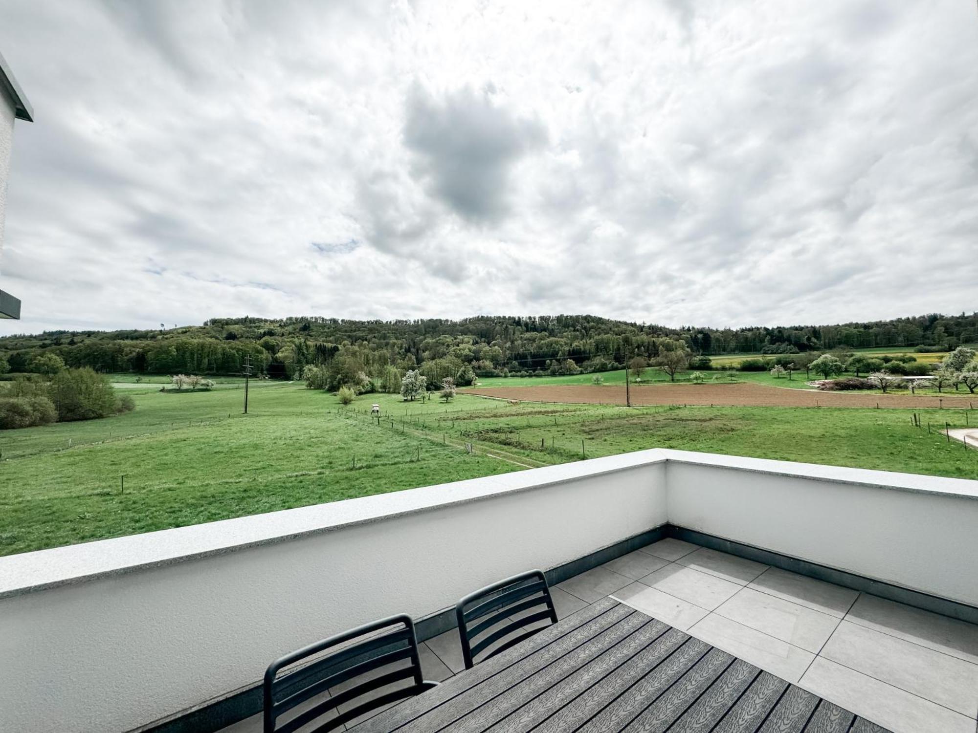 Wunderschoene Helle Wohnung Mit Grosser Dachterrasse Gottmadingen Exterior photo